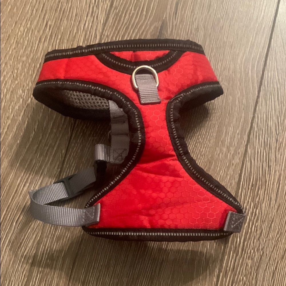 Red Dog Harness with Black Trim